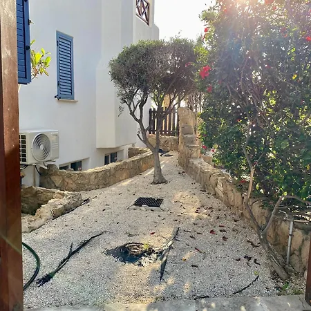 Sea Front Ekaterina Villa *